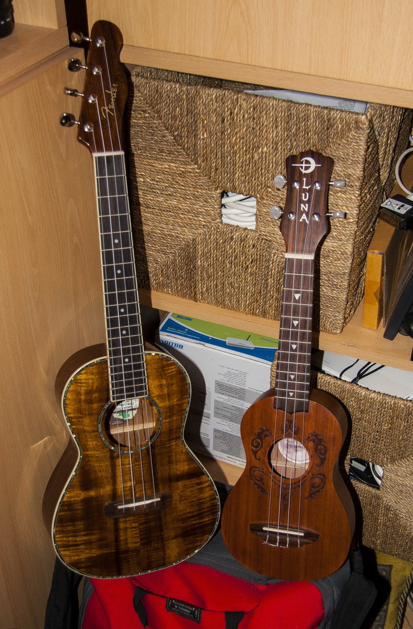 Is the fender nohea solid koa Ukulele Underground Forum